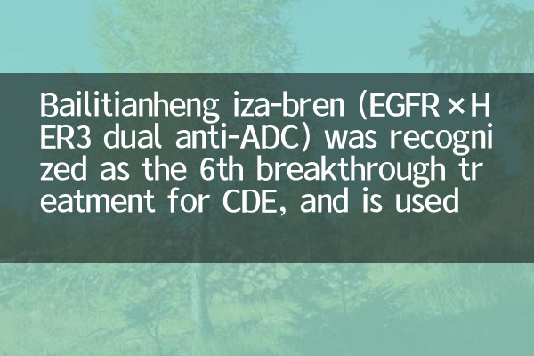 Bailitianheng Iza-Bren (EGFR × HER3 듀얼 항 -ADC)은 CDE의 6 번째 획기적인 치료법으로 인식되었으며 백금 내성 반복 난소 암 등에 사용됩니다.